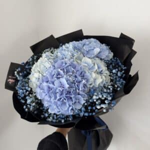 Blue Hydrangea