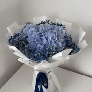 Blue Hydrangea